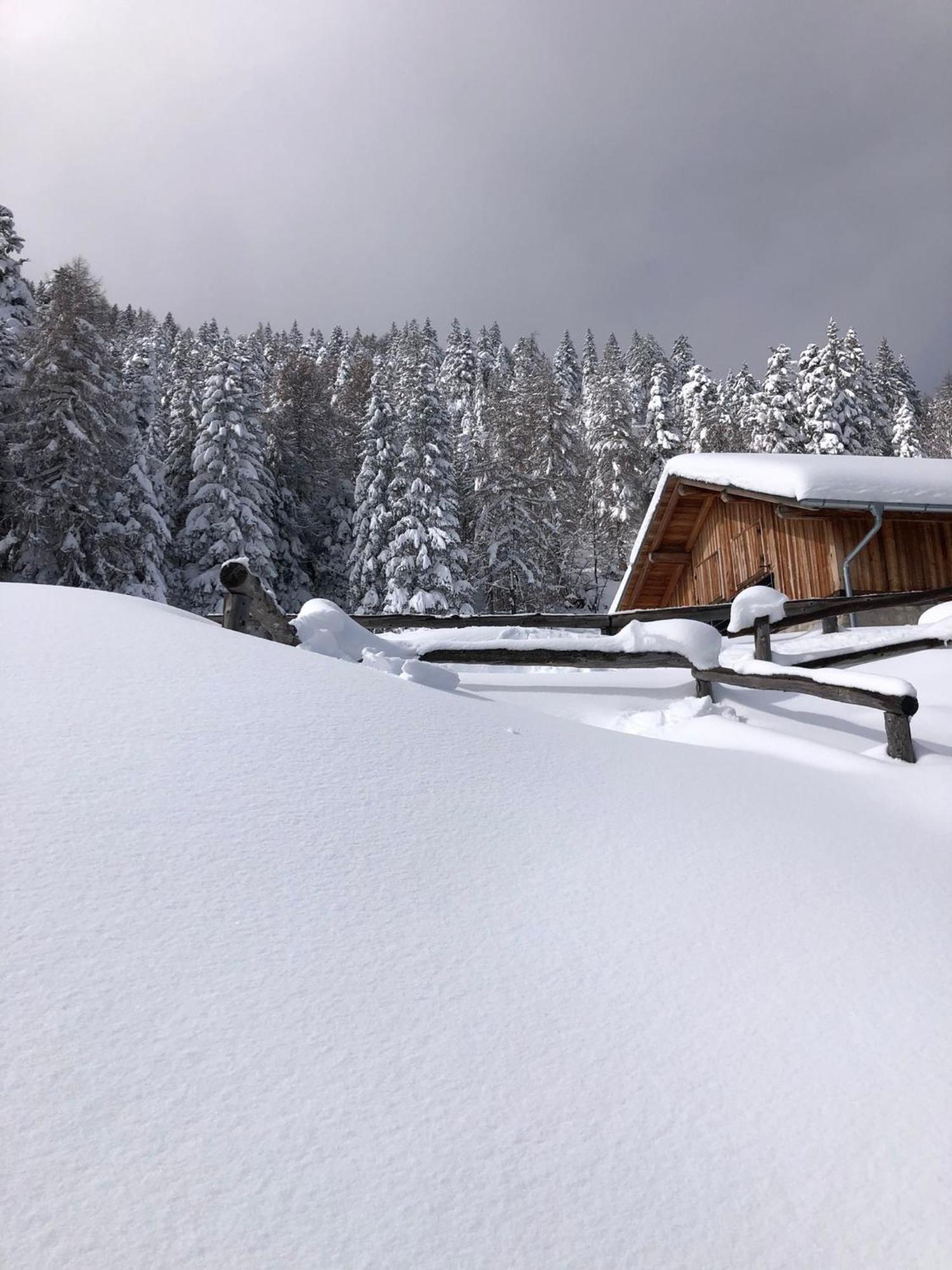 Brenta Luxury Chalet 스포르미노레 외부 사진
